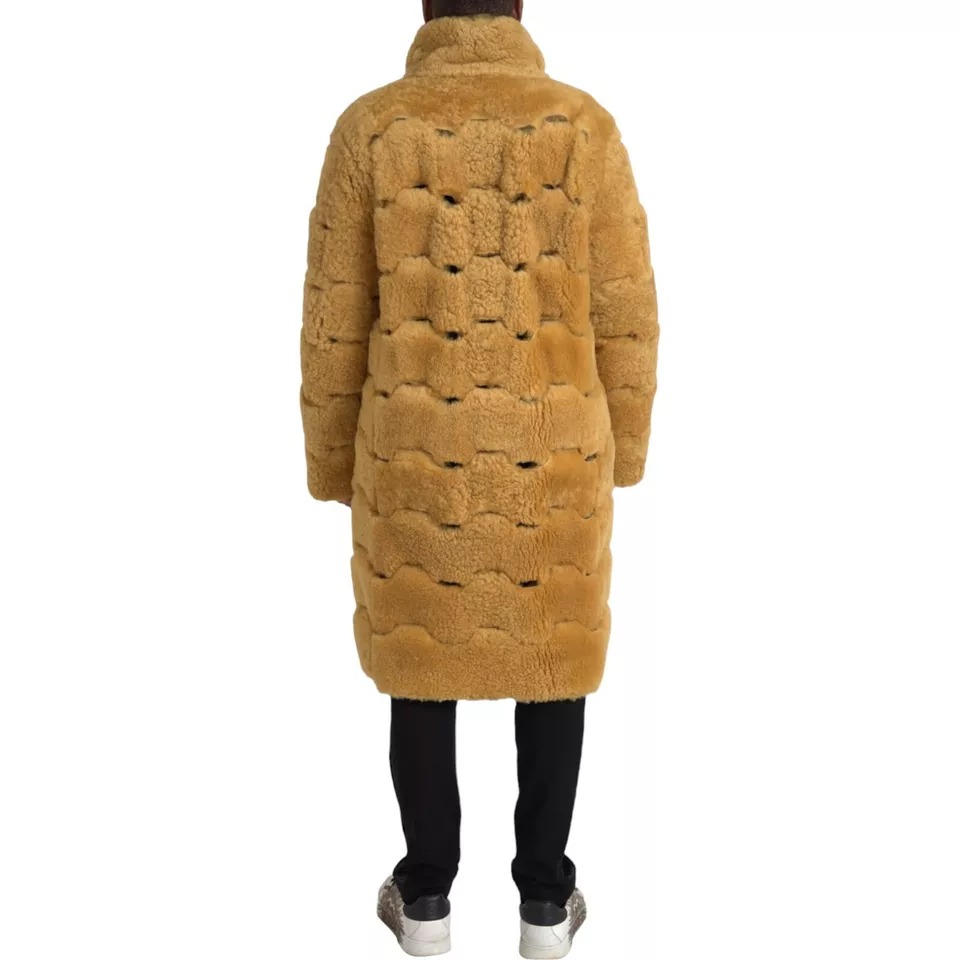 5413336.jpeg 5413336.jpeg