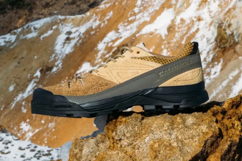 https%3A%2F%2Fhypebeast.com%2Fimage%2F2025%2F11%2F10%2Fsalomon-x-alp-suede-bronze-brown-woodthrush-safari-beams-limited-colorway-release-info.jpg