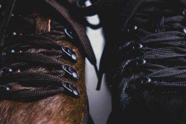 https%3A%2F%2Fhypebeast.com%2Fimage%2F2025%2F11%2F18%2Fdiemme-beams-cornaro-due-gomma-collaboration-release-info-000.jpg